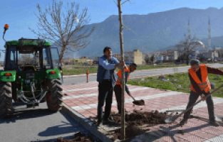 Şehzadeler'den Ağaçlandırma Seferberliği