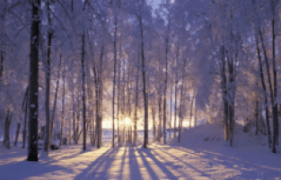 SON YILLARIN EN SICAK ŞUBATI