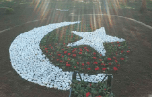 Türk Bayrağı Çiçek Açtı