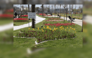 Manisa'da Renk Cümbüşü