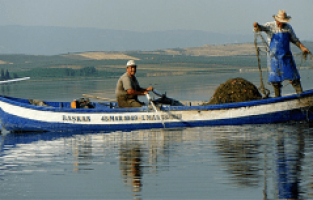 SU ÜRÜNLERİ AV YASAKLARI BAŞLADI