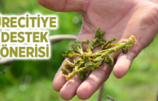 ÜRETİCİYE DESTEK TALEBİ