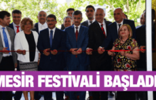 476. MANİSA MESİR MACUNU FESTİVALİ START ALDI