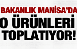 BAKANLIK MANİSA'DA O ÜRÜNLERİ TOPLATIYOR