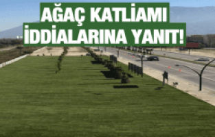 BÜYÜKŞEHİR'DEN AĞAÇ KATLİAMI İDDİALARINA YANIT
