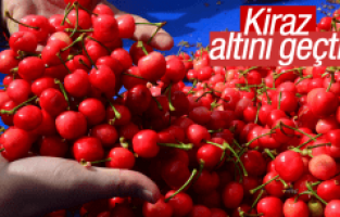 KİRAZ ALTINI GEÇTİ