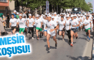 MESİR FESTİVALİ'NDE BİR İLK DAHA!