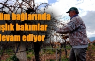 Bağlar yeni sezona hazırlanıyor