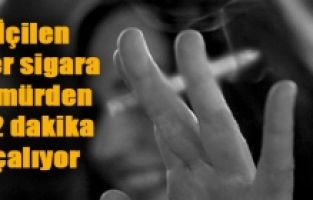 Her gün 300, her yıl 100 bin kişi hayatını kaybediyor