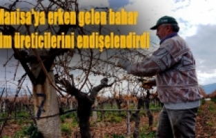 Meyve ağaçları çiçek açtı