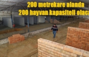 Saruhanlı Belediyesi yeni hayvan bakımevi inşa ediyor