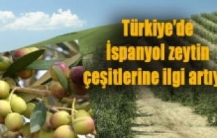  Türk üreticilerinin yeni gözdesi oldu