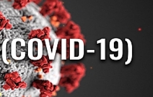 Son 24 saatte korona virüsten 9 kişi hayatını kaybetti