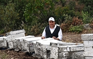 Bal Üreticisi Dağıtılan Kovanlardan Memnun