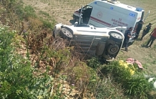 Kontrolden Çıkan Araç Mısır Tarlasına Devrildi: 2 Yaralı