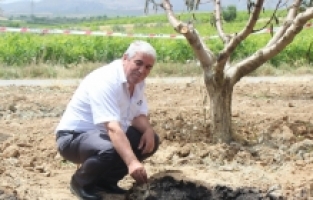 Petrole Benzer Siyah Sıvı Heyecan Uyandırdı