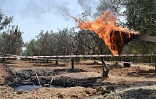 TPAO, petrole benzer siyah sıvıdan numune aldı