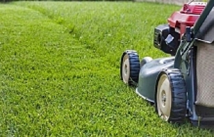 Yunusemre’de  Ot Biçme Çalışmaları  Devam Ediyor