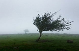 Alaşehir'i Fırtına ve Dolu Vurdu
