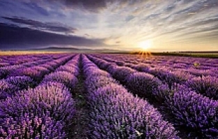 'Kulavanta' Projesi Kula Turizminin Yeni Yüzü Olacak