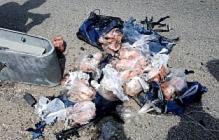 Patlatılan Şüpheli Çantadan Dondurulmuş Balık Çıktı