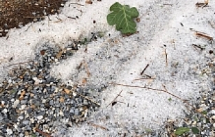 Şiddetli Yağış ve Dolu Zarara Yol Açtı