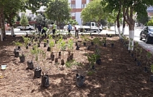 Soma Belediyesinde Yaz Çalışmaları Devam Ediyor