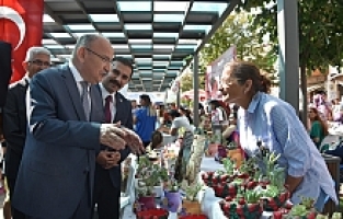 Vali Karadeniz Köprübaşı Çilek Festivaline Katıldı