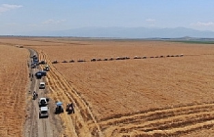 Kuruyan Gölde Yer Paylaşımı Kavgası: 4 Gözaltı