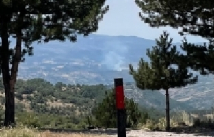 Manisa'da Çıkan Orman Yangını Kontrol Altına Alındı