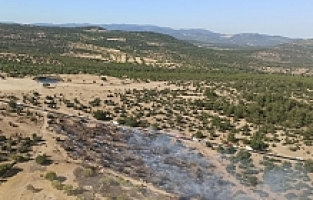 Orman Yangını Hızlı Müdahaleyle Büyümeden Söndürüldü