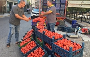 Salçalık Domates Fiyatları El Yakıyor