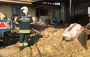 Yanan Ahırda İnek ve Koyunlar Telef Oldu
