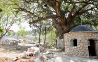 Çapaçarık Türbesi ve çevresi düzenleniyor