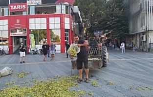 Eylem Yapmak İsteyen Üreticiyi Belediye Başkanı Sakinleştirdi