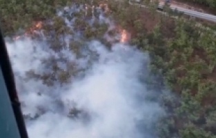 Manisa'da Ormanlık Alanda Yangın