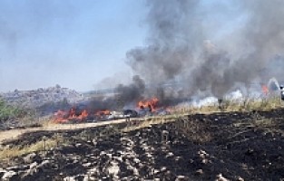 Otluk Alandaki Yangının Tarihi Kaplıcalara Sıçraması Son Anda Önlendi