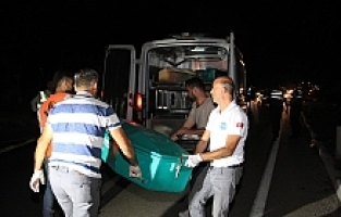 Otomobilin Çarptığı  Anne-Oğul Hayatını Kaybetti