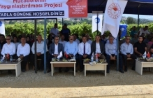 Salihli’de Örnek Proje Tarla Günü ile Kutlandı