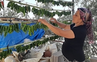 Sarıgöl'de Kışlık Yiyecek Hazırlığı Başladı