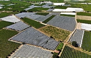 Sarıgöl Ovası Beyaza Büründü