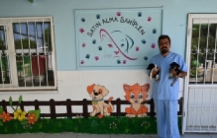 Soma'daki Sokak Hayvanı Popülasyonu Kontrol Altına Alınıyor