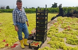 Üzüm Üreticisi Dolandırılmaktan Son Anda Kurtuldu