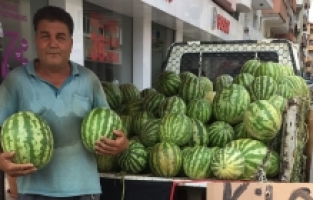 Alaşehir'de Karpuzun Fiyatı 1 Buçuk Liraya Düştü