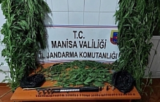 Demirci ve Yunusemre'de uyuşturucu operasyonu