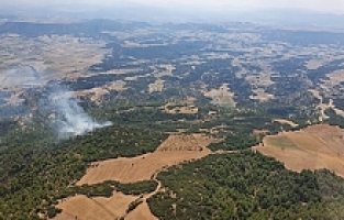 Manisa'da Çıkan Orman Yangınına Çok Sayıda Ekip Sevk Edildi