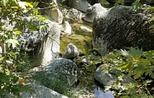 Selendi'de 'Yelimera Doğa Yürüyüşü, Kanyon ve Gençlik Festivali' Yapıldı