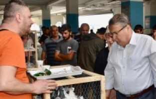 Kuş Pazarında Brahma Yarışması Yapılacak