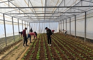 Hem Öğrenecekler Hem Kazanacaklar