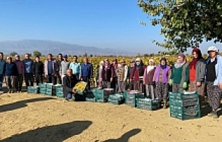 Üzüm Bağında Atatürk'ü Unutmadılar